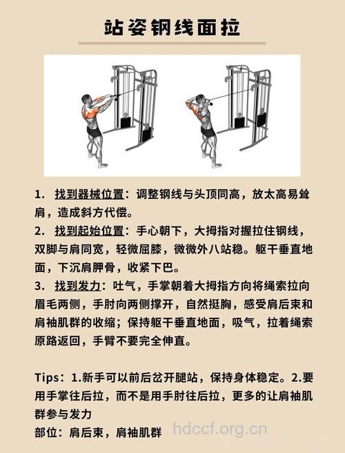 肩部怎么练 六个动作让线条明显