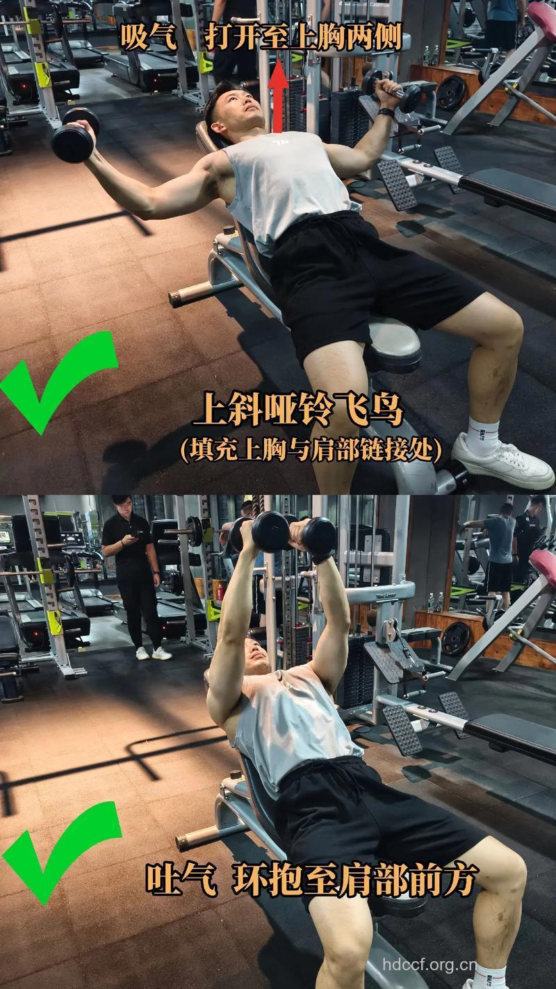 哑铃飞鸟锻炼胸肌吗 三种姿势组合效果好