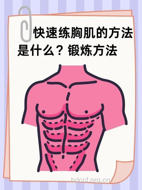 胸肌变厚并不难 这样做效果特别好