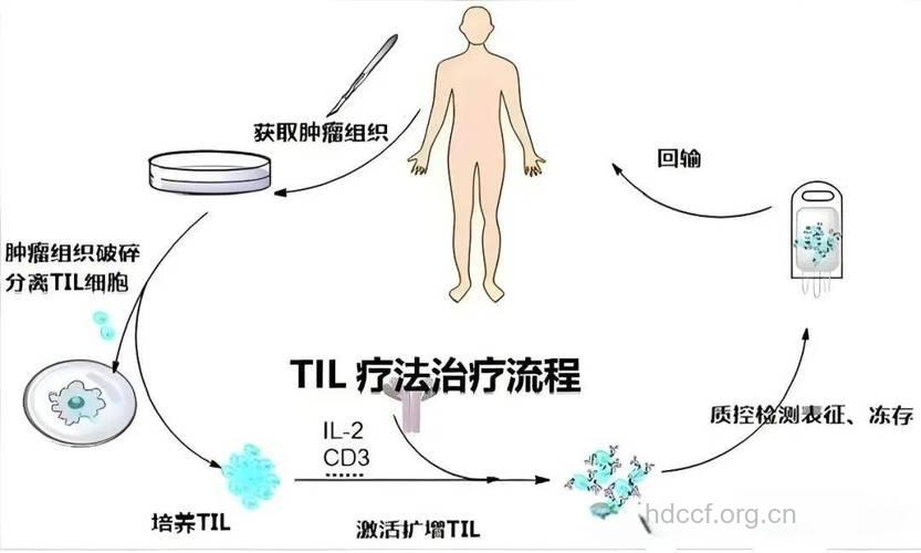 癌症生活上的疗法