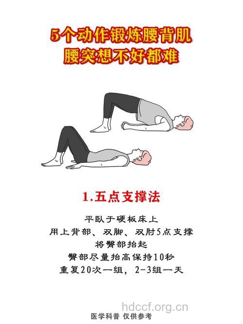 如何加强腰部肌肉 这三个动作要牢记