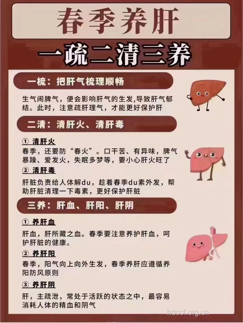 春季养肝正当时 5点预防肝损伤