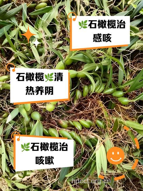 中药抗癌有什么要注意的地方