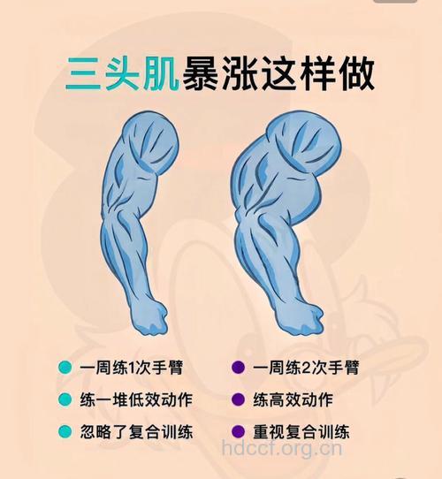 如何训练手臂 推荐四个经典动作