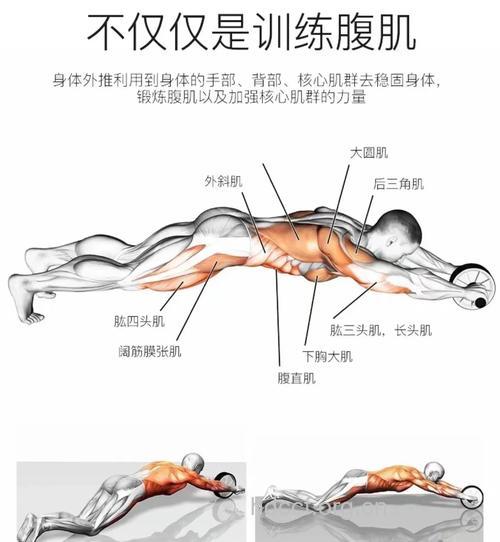 健腹轮能练胸吗 胸肌怎么练