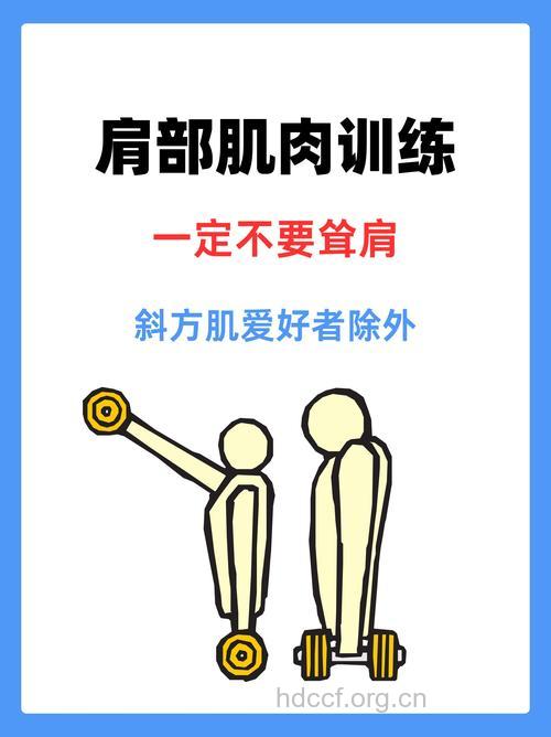 练斜方肌好吗 斜方肌有什么用