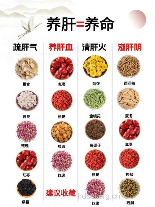 最实用有效的护肝食品