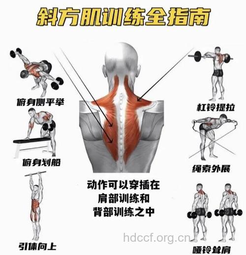 怎么练斜方肌 推荐四个锻炼方法