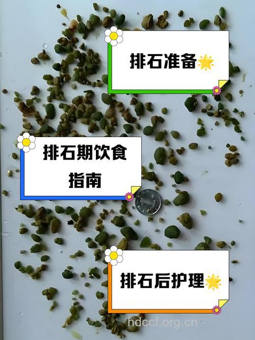 排石疗法 真的能排出胆结石吗
