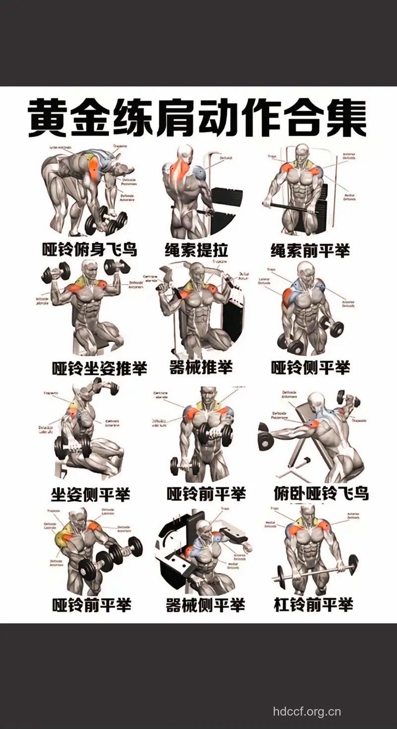 怎么练三角肌中束 推荐7个动作