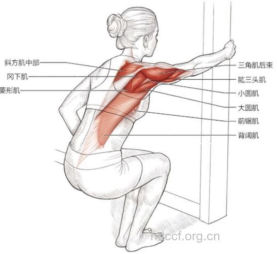 三角肌后束拉伸方法有哪些