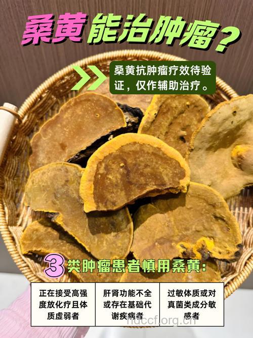 中药治疗肿瘤会有哪些禁忌呢