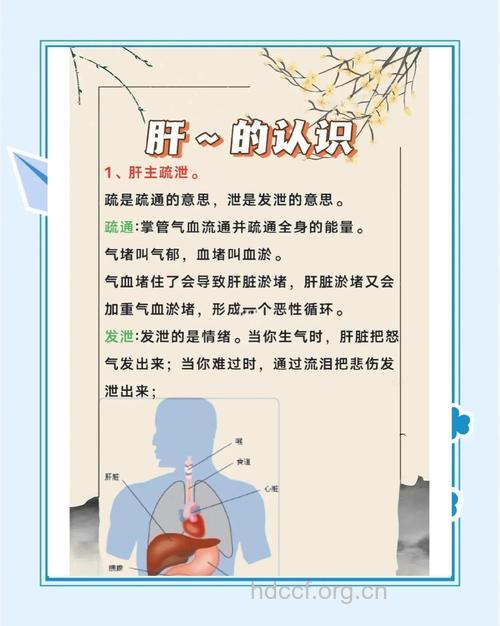 中医治疗肝癌有哪些优势