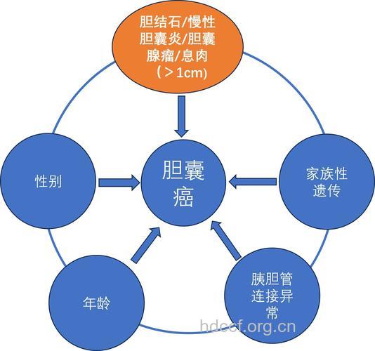 哪些因素诱发胆囊癌