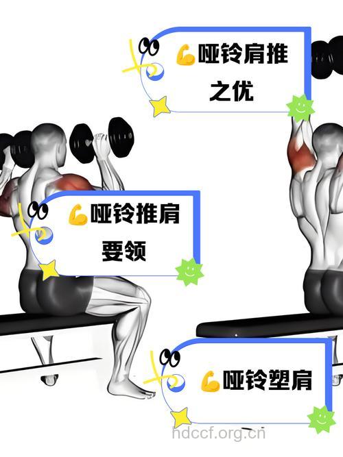 如何锻炼好肩部肌肉 推荐4种方法