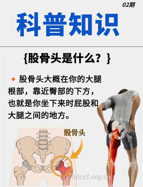 股骨头坏死后如何行走
