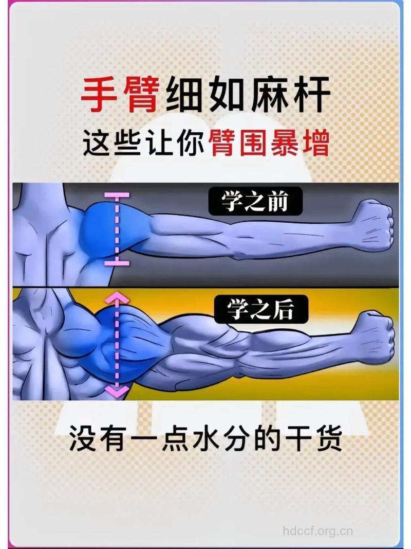 怎样锻炼手臂肌肉 让胳膊变粗