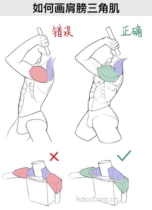 男人如何拥有完美的肩部肌肉