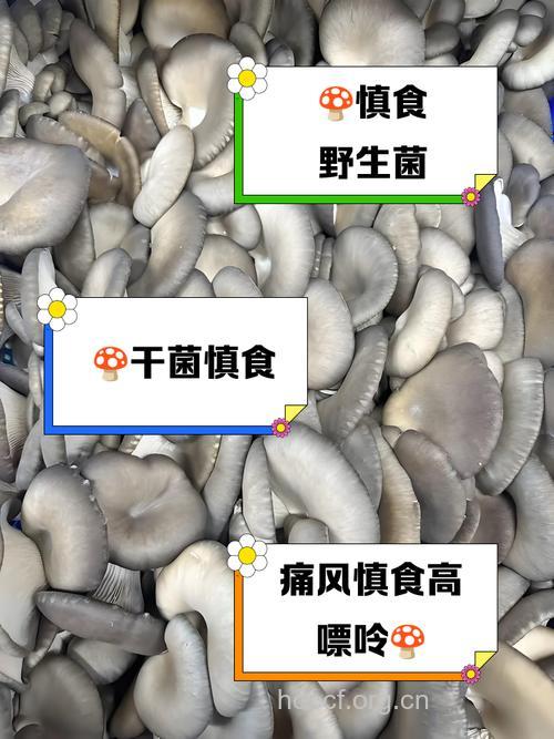 乙肝病人吃香菇能防恶化吗