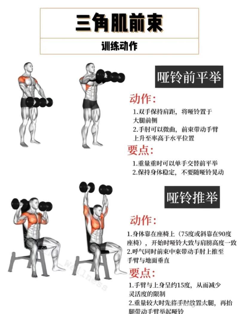 肩部肌肉锻炼 只需五招让你拥有三角肌