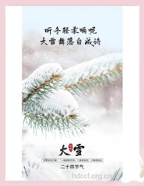 大雪节气 小心风从颈入
