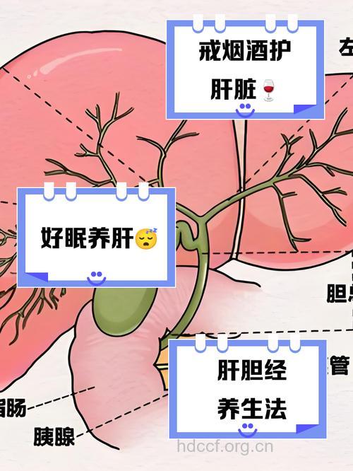 肝外胆管损伤有什么发病原理