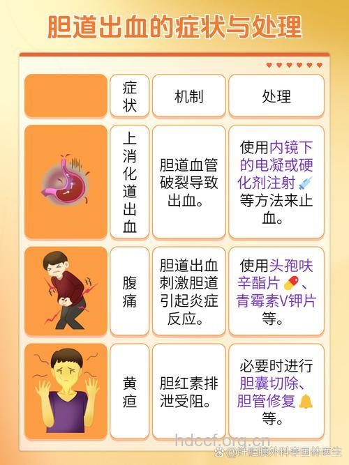 胆道出血有哪些治疗方法