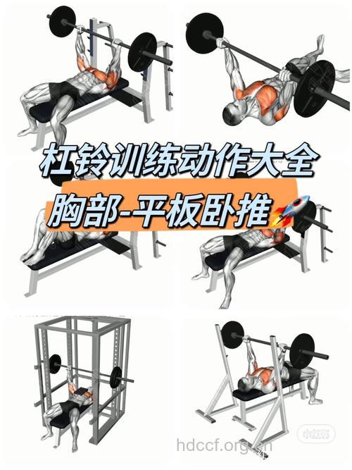 怎样用拉力器练胸肌 试试这三种做法
