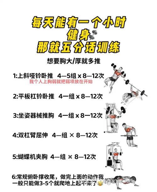 冬季增肌必知的两类训练方法