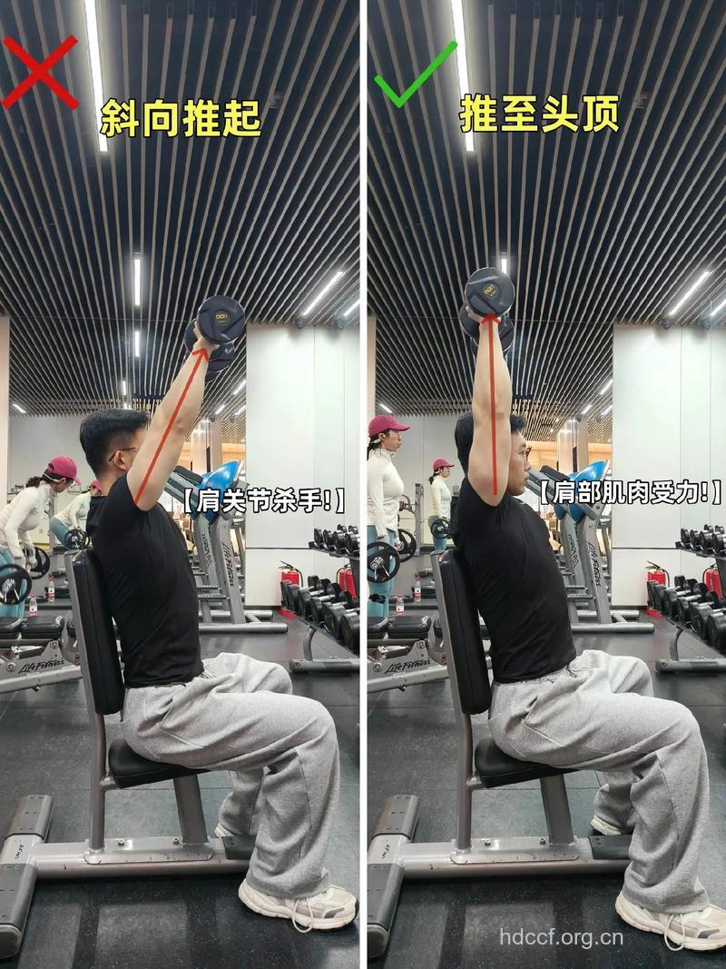 坐姿哑铃提踵这样做 赶紧学起来