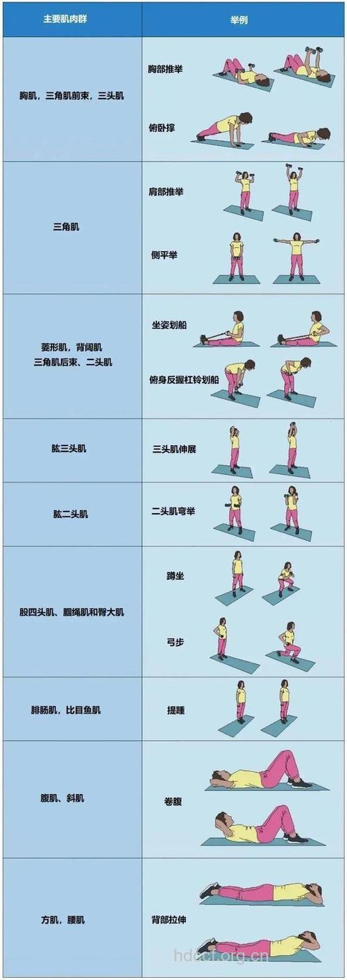 怎样锻炼股四头肌 五个动作效果惊人
