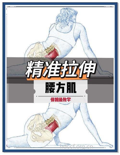 腰椎怎么放松 试试这六个拉伸动作