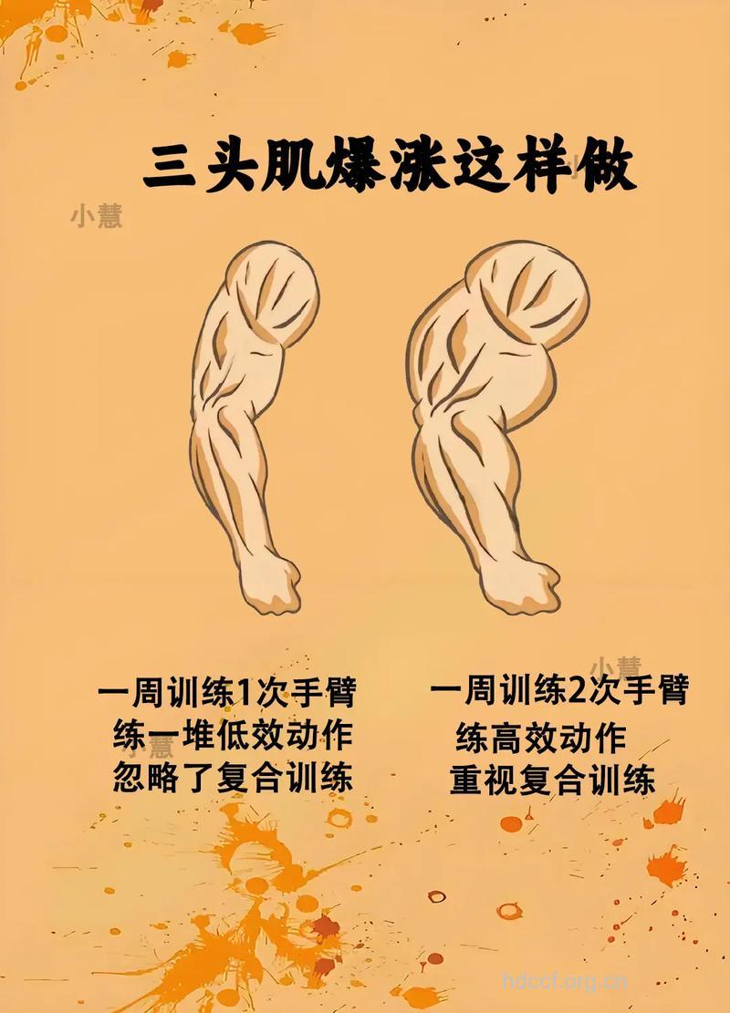 在家怎么练肱三头肌 安利两种人气方法