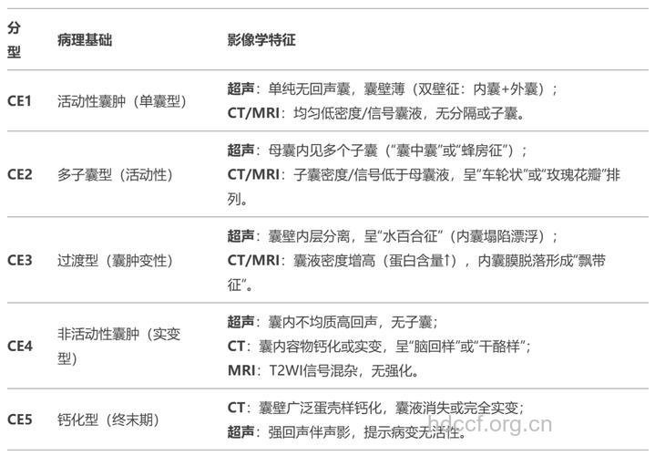肝包虫病的分类
