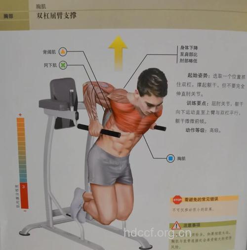 在家如何练手臂肌肉 推荐四个动作