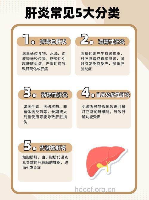 肝炎偏爱哪些职业人群