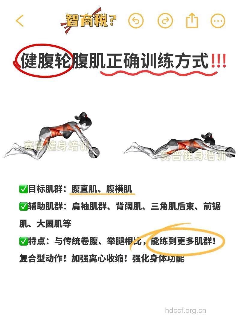 健腹轮锻炼哪些肌肉 健腹轮效果怎样