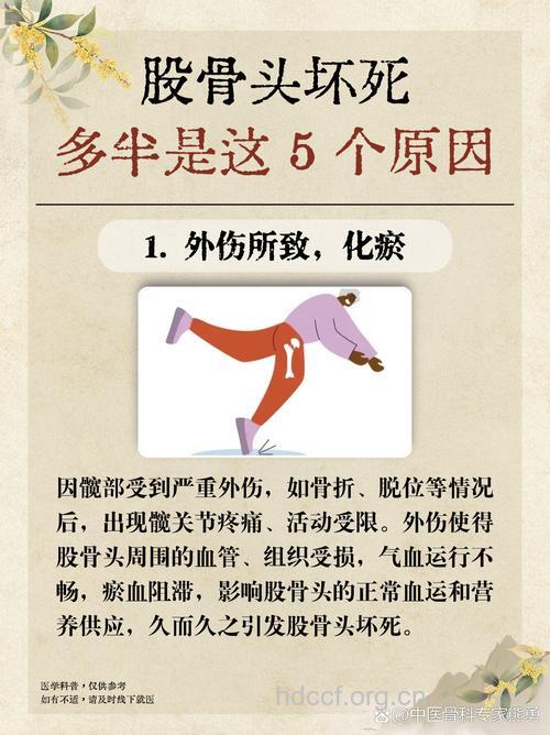 股骨颈骨折为什么易发生股骨头坏死?