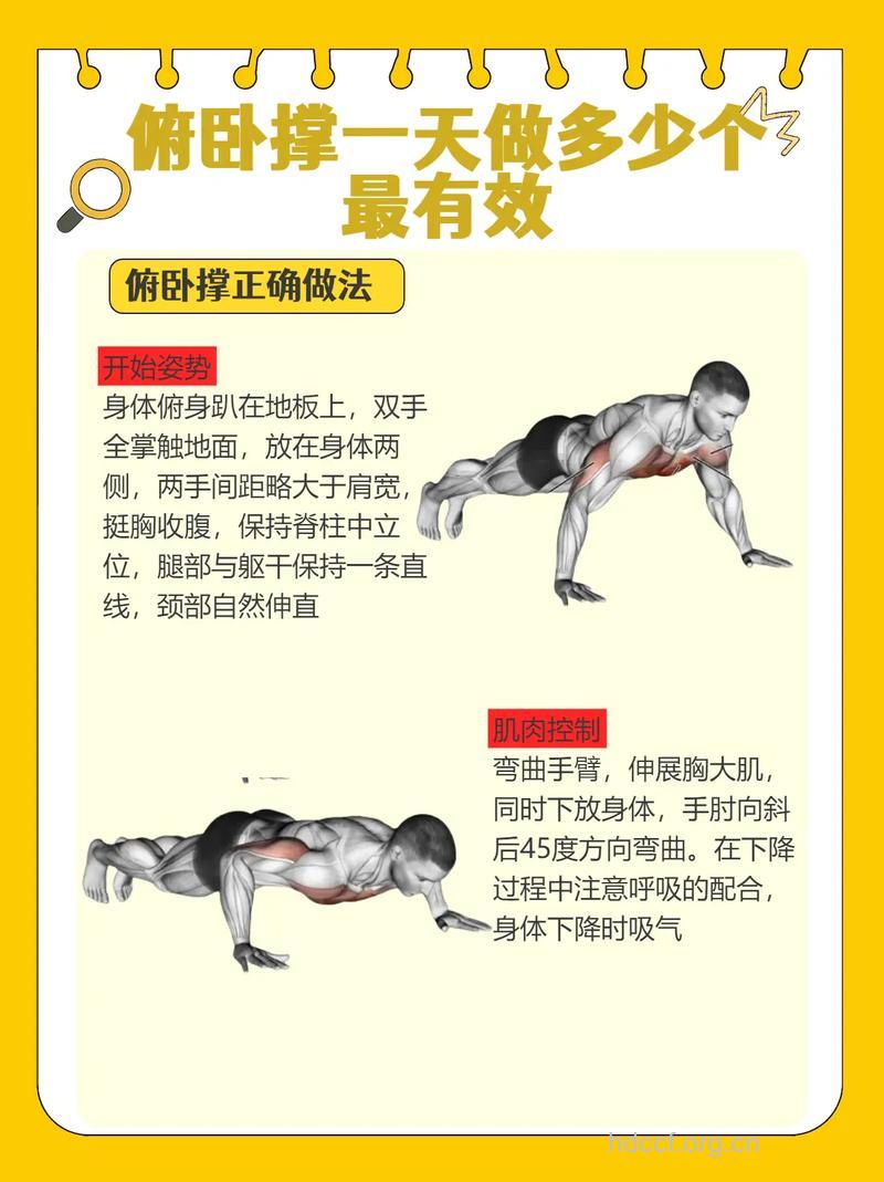 立卧撑每天的量是多少 你是否清楚