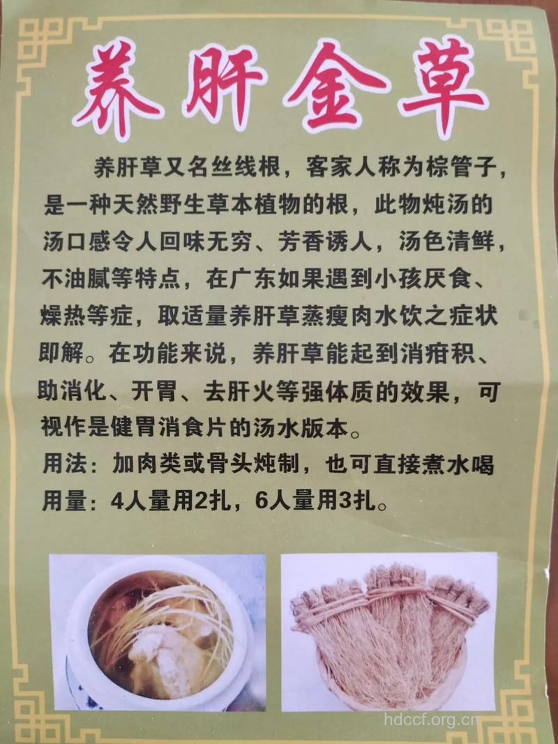 乙肝患者有哪些食疗偏方