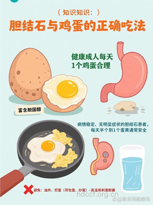 胆结石病人能否吃鸡蛋?