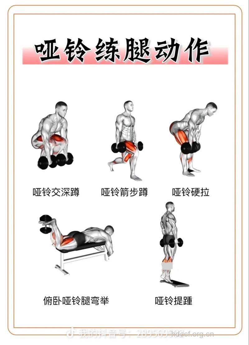 哑铃深蹲的好处 哑铃深蹲怎么练
