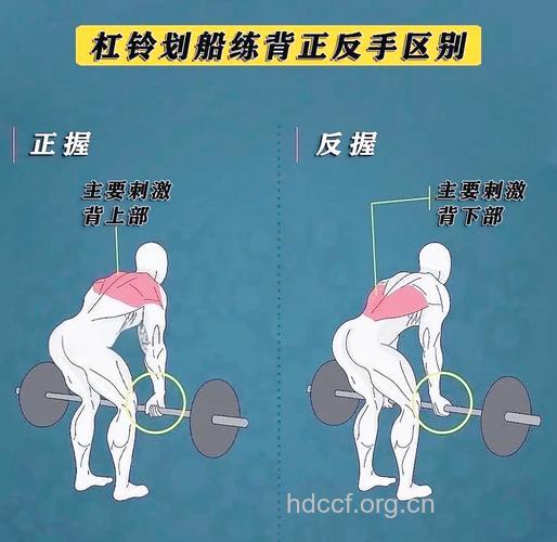反握杠铃弯举的正确做法 赶紧收藏