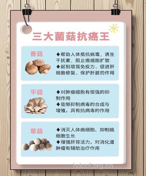 蘑菇竟然能预防肝癌