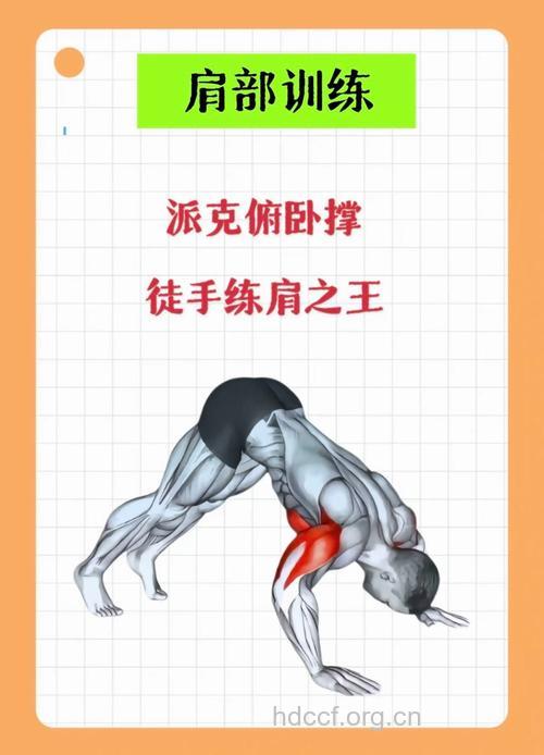 初级徒手健身 徒手健身该注意什么