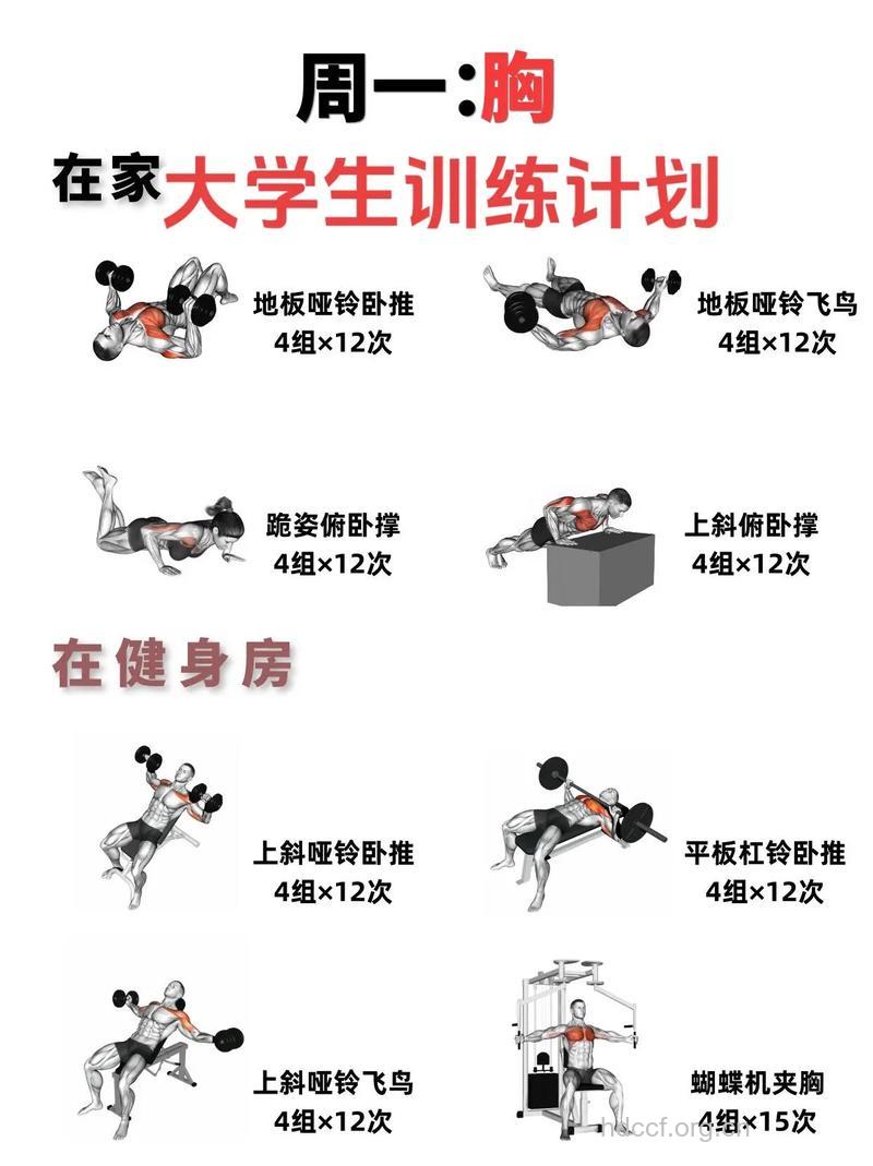 宅男专属的家庭健身计划