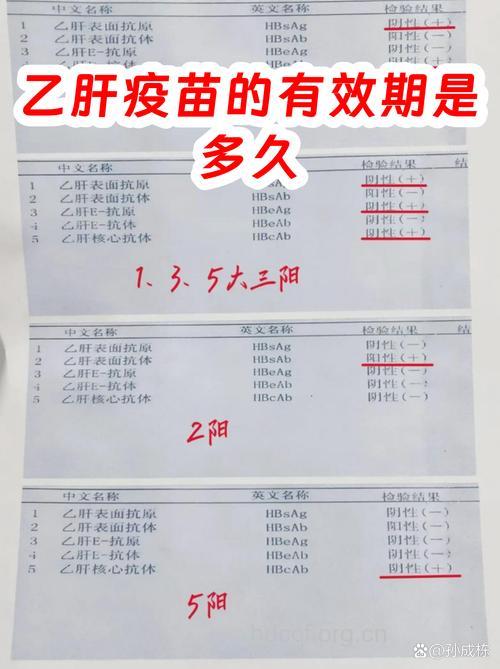 乙肝疫苗的保护时间是多久