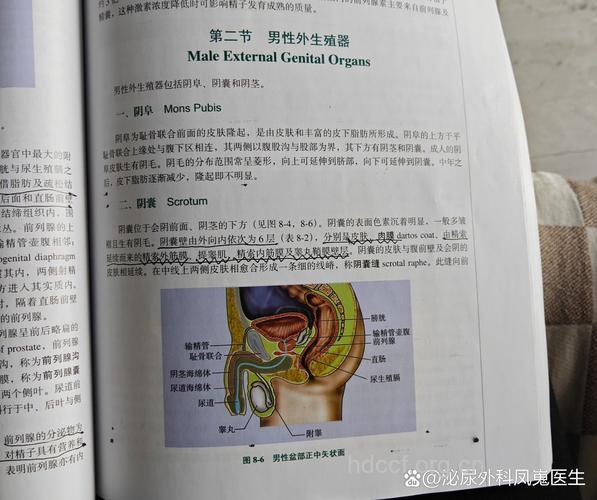 癌症早发现:睾丸癌早期自检