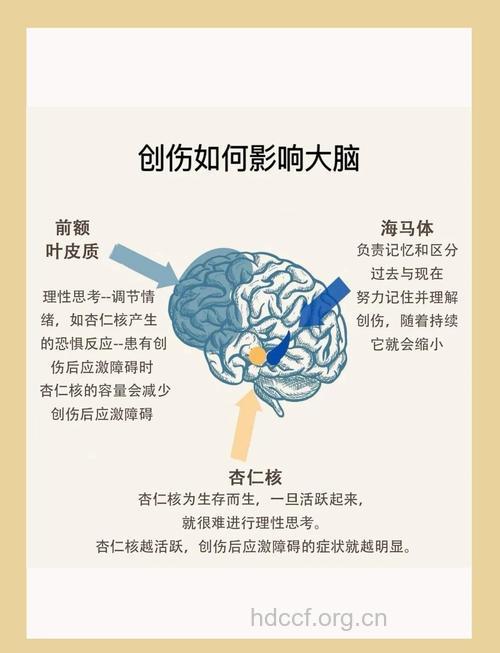 颅脑外伤有哪些危害