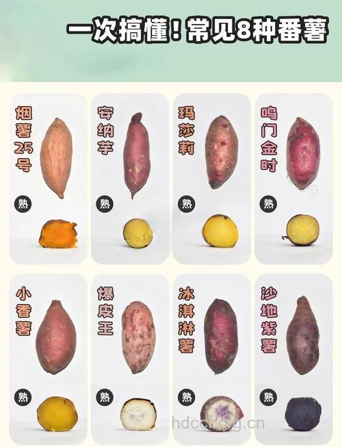 盘点8大防癌食物 红薯上榜